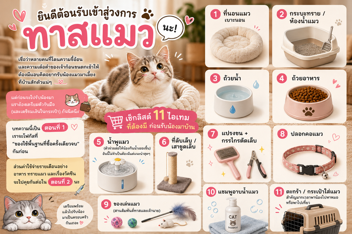 เตรียมตัวเป็นทาสแมว! (ตอนที่ 1) เช็กลิสต์ของใช้ที่ต้องซื้อครั้งเดียวจบ ก่อนรับน้องมาอยู่ด้วยกัน